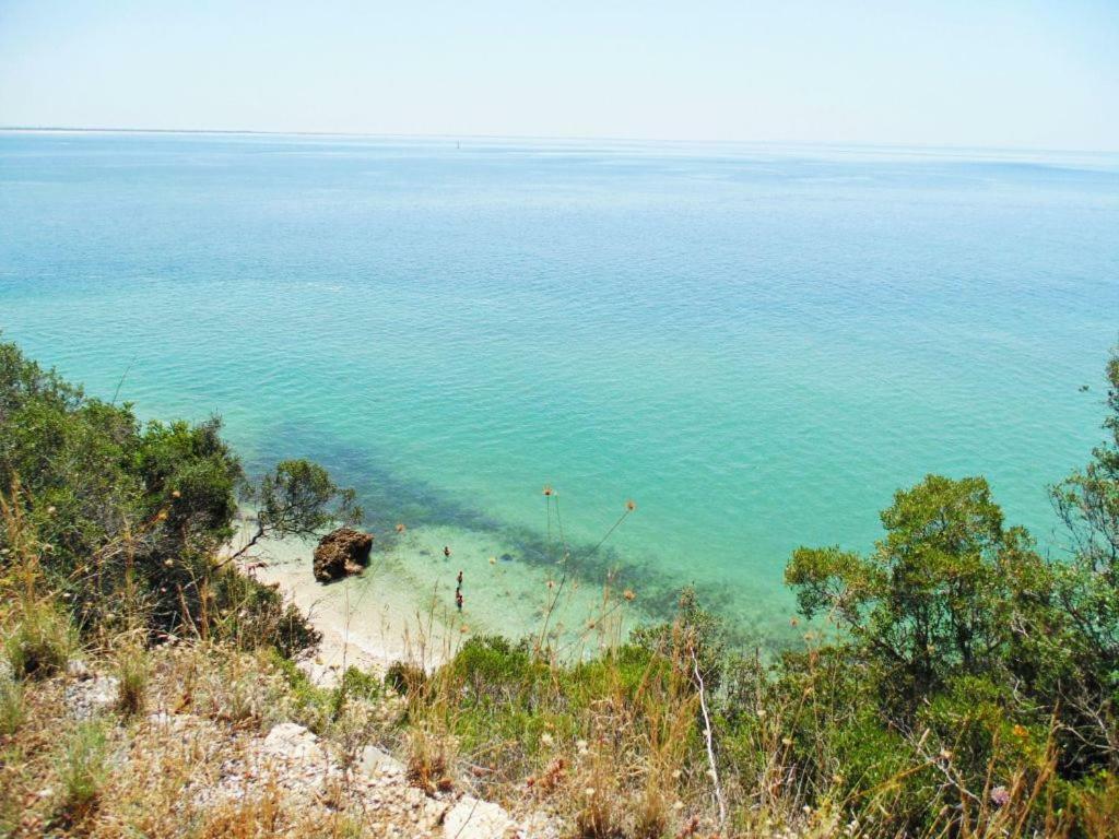 Apartamento Sado Setúbal Buitenkant foto